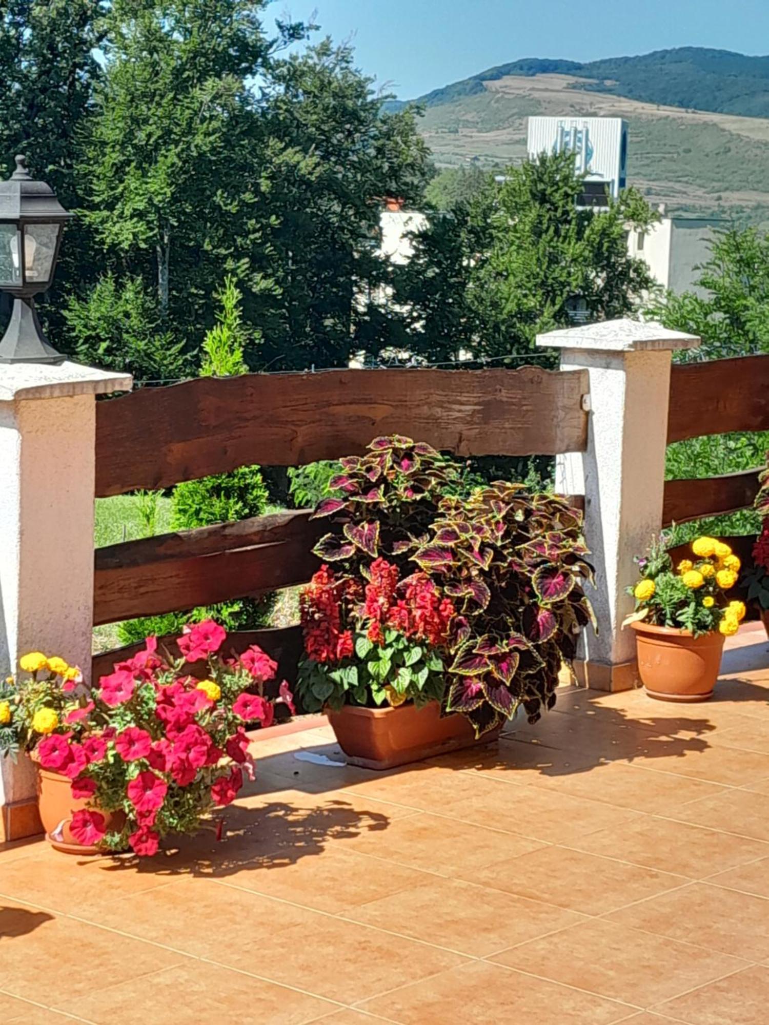 Casa Eldorado Hotel Sovata Buitenkant foto
